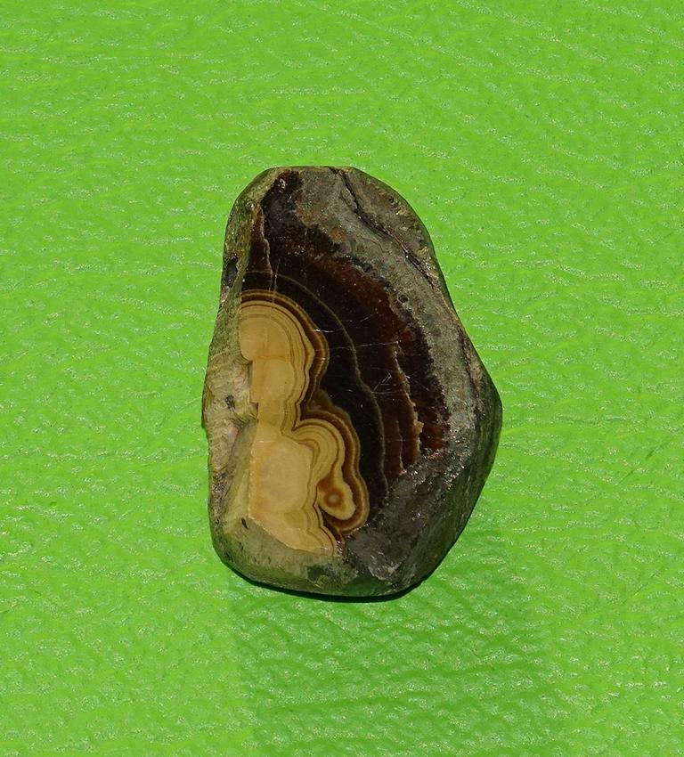 Schalenblende gebohrt Nr. 8