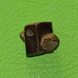 Staurolith gebohrt Nr. 5