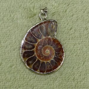 Ammonit-Anhänger