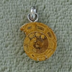 Ammonit-Anhänger klein