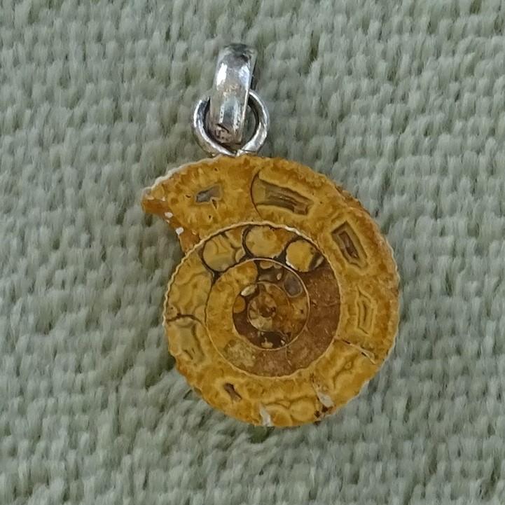 Ammonit-Anhänger klein