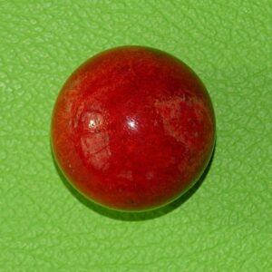 Schaumkoralle-Kugel Ø 3 cm