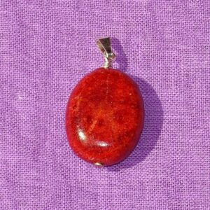 Schaumkoralle-Anhänger Nr. 2