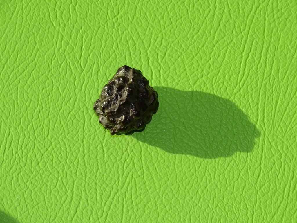 Prophetenstein gebohrt Nr. 12