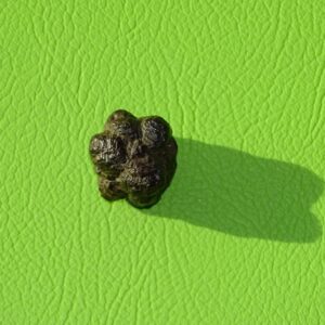 Prophetenstein gebohrt Nr. 8