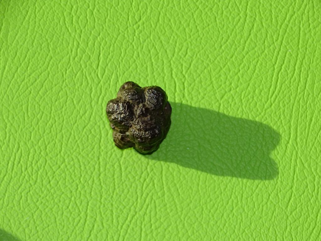 Prophetenstein gebohrt Nr. 8